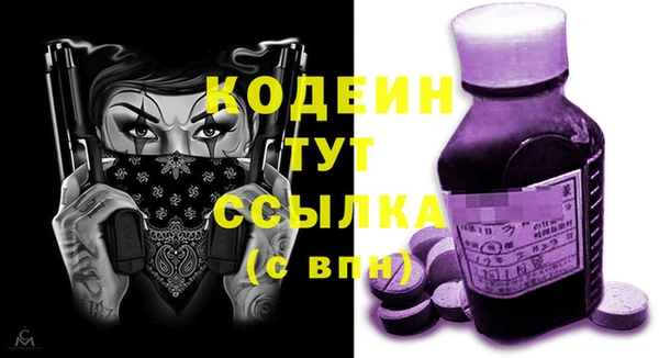 молекула духа Инсар