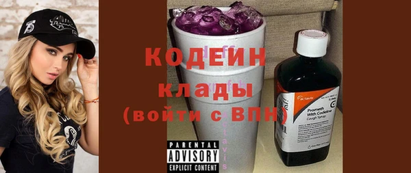 молекула духа Инсар