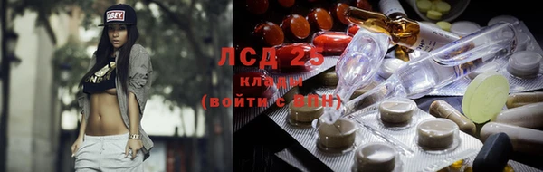 бошки Инта