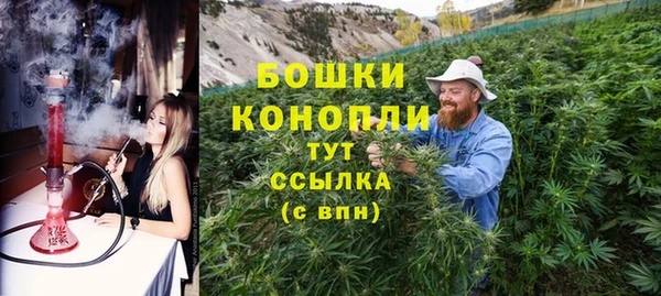 молекула духа Инсар