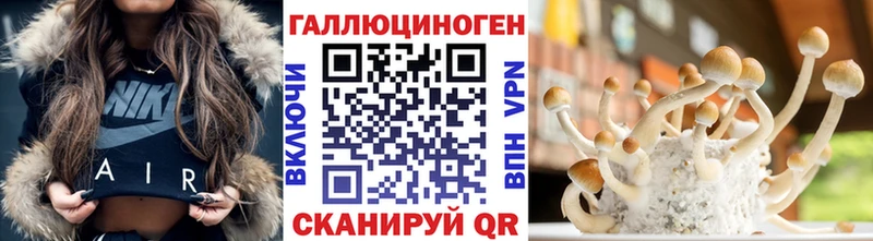 OMG tor  Лосино-Петровский  Псилоцибиновые грибы Psilocybe 